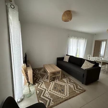 Appartement Avec Jardin Chateauneuf-de-Galaure Buitenkant foto